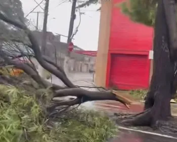 Alagamentos e acidentes: Maceió tem sábado mais chuvoso do país