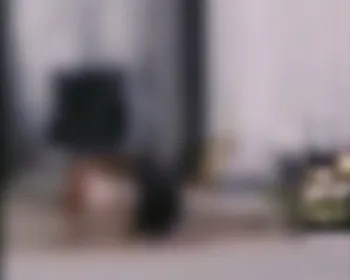 Ataque de pitbulls: polícia busca identificar tutores de animais; assista ao vídeo