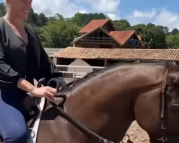 Banco tenta penhorar cavalo que Ana Hickmann ganhou de Edu Guedes