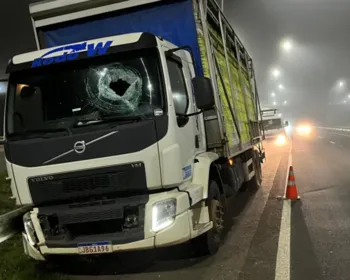 Caminhoneiro morre após ser atingido por pedra em rodovia
