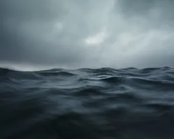 Cientistas descobrem centenas de vírus gigantes presentes nos oceanos