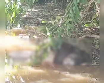 Corpo de homem que desapareceu ao tentar atravessar rio é encontrado em Igaci