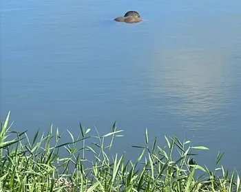 Corpo é encontrado boiando no Lago da Perucaba, em Arapiraca