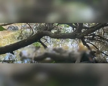 Horas de buscas: veja como corpos de irmãos foram encontrados na lagoa