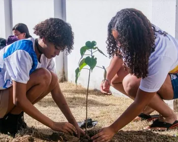 Dia Mundial do Meio Ambiente será celebrado com plantio de 7 mil mudas