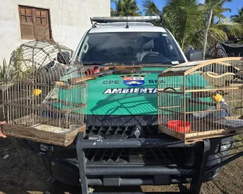 Espingardas artesanais e aves silvestres são apreendidas em residência de Piaçabuçu