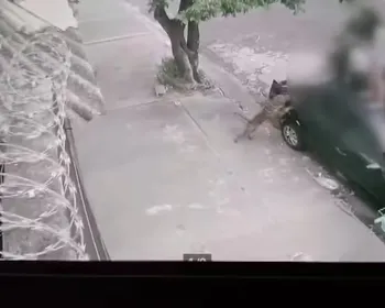 Homem jogou balde de água em pitbull para livrar adolescente de ataque