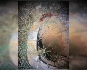 Homem mata conhecido a tijoladas e joga corpo em cisterna