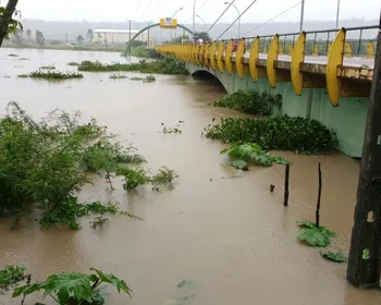 São Miguel dos Campos tem 222 desabrigados após transbordamento de rio