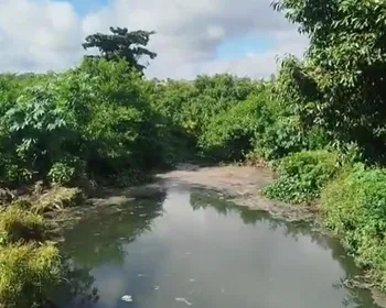 Ladeira com jacarés e jiboia conquista moradores e vira ponto turístico em Arapiraca