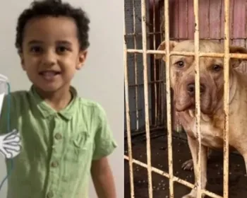 Menino de 3 anos morre após ser atacado por pit-bull
