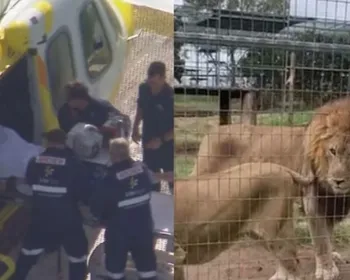 Mulher tem braço arrancado por leão em zoológico na Austrália