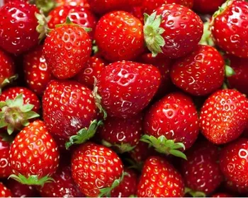Pesquisadores descobrem o que ninguém queria ver em morangos
