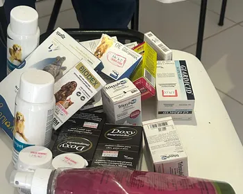Remédios vencidos e cães doentes: fiscalização notifica abrigo de animais em Maceió