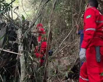 7 meses após tragédia, começa retirada de ônibus na Serra da Barriga
