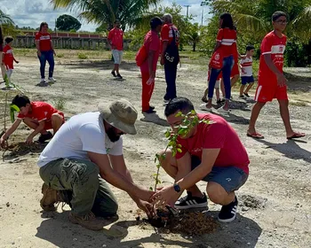 Sócios Kids do CRB plantam 60 mudas de árvores no CT Ninho do Galo