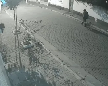 Suspeito é flagrado carregando corpo de mulher achada em lixeira. Veja