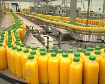 Taxa de 70% sobre suco de laranja ameaça milhares de empregos