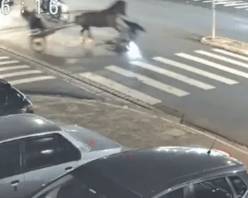 Vídeo: cavalo passa em farol vermelho e atropela motociclista