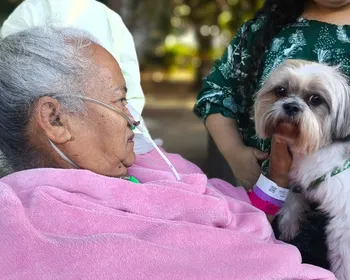 Vídeo emocionante: mulher internada reencontra cão de estimação