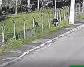 Vídeo mostra fuga de suspeito de matar homem em loja de Marechal Deodoro