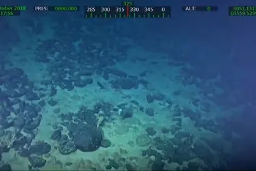   				5 pontos para entender reivindicação do Brasil por ilha submersa  			  			