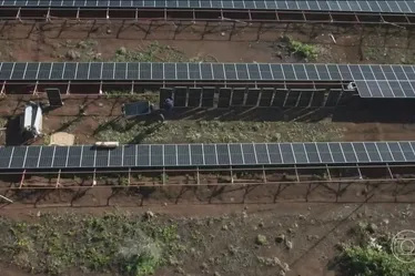 
				A ilha brasileira que usa energia solar e ficará livre de combustível fóssil
			
			