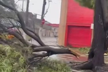 
			
				Alagamentos e acidentes: Maceió tem sábado mais chuvoso do país
			
			