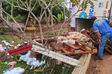 
			
				Caminhão com carga de alimentos perde controle e tomba em Arapiraca
			
			