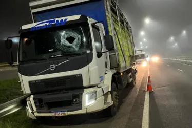 
			
				Caminhoneiro morre após ser atingido por pedra em rodovia
			
			