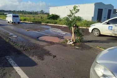 
				Carro com cinco ocupantes capota na AL-220 após passar em buraco
			
			