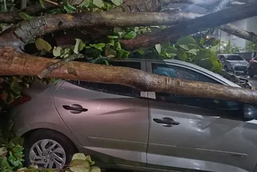 
				Ciclone no Sul provoca ventos de até 110 km/h e chuva intensa
			
			