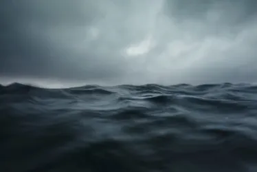 
			
				Cientistas descobrem centenas de vírus gigantes presentes nos oceanos
			
			