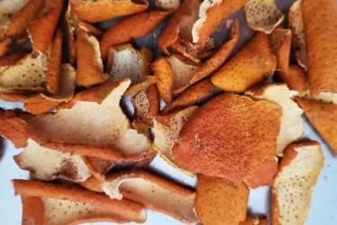 
			
				Coloque cascas de tangerina ao sol: por que é recomendado e como usar
			
			