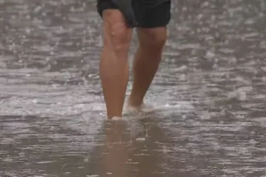 
			
				Confira como se prevenir da leptospirose em tempos de chuva intensa
			
			