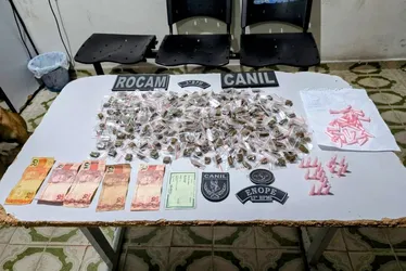 
				Denúncia leva polícia a esconderijo com 300 porções de maconha
			
			