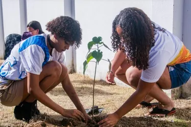 
			
				Dia Mundial do Meio Ambiente será celebrado com plantio de 7 mil mudas
			
			