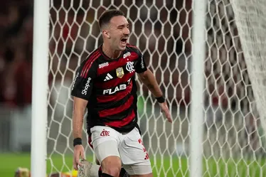 
				Flamengo derrota Atlético-MG e assume liderança do Brasileirão
			
			