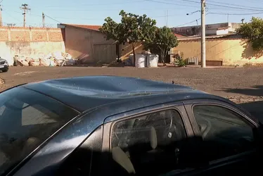 
			
				Homem jogou balde de água em pitbull para livrar adolescente de ataque
			
			