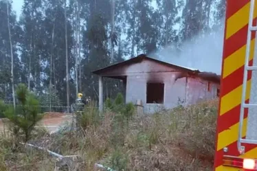 
				Idoso é preso após jogar álcool e atear fogo na companheira
			
			