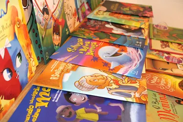 
			
				Imprensa Oficial Graciliano Ramos dá 20% de desconto na aquisição de livros para escolas de AL
			
			