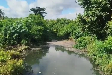 
				Ladeira com jacarés e jiboia conquista moradores e vira ponto turístico em Arapiraca
			
			