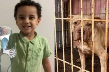 
				Menino de 3 anos morre após ser atacado por pit-bull
			
			