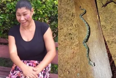 
				Mulher é picada ao confundir cascavel com corda e morre
			
			