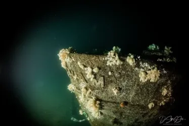 
				Navio naufragado na 1ª Guerra Mundial é encontrado 109 anos depois
			
			