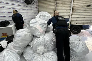 
				'Oitentão': Receita Federal apreende R$ 3 milhões em tênis falsos em Maceió
			
			