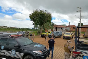 
				Operação Saturação combate tráfico de drogas e roubos em Batalha
			
			