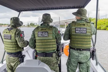 
				Operações do BPA miram crimes ambientais no litoral e interior de AL
			
			