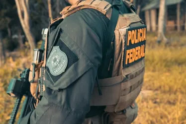 
				PF desmantela esquema de tráfico de drogas pelos Correios em Maceió
			
			