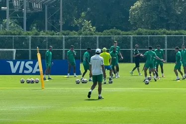 
				Palmeiras tem retorno de titulares, e Paulinho segue trabalho individual; veja escalação
			
			